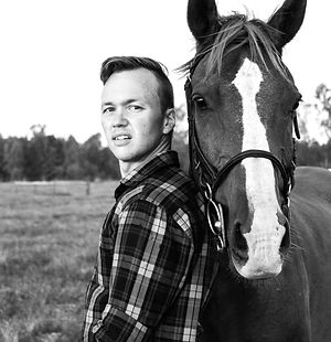Equine photography by DVB Productions